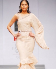 Amit GT's Collection
